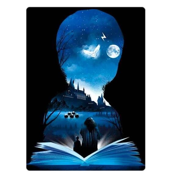 Harry Potter Magnet  - Picture 1 of 6